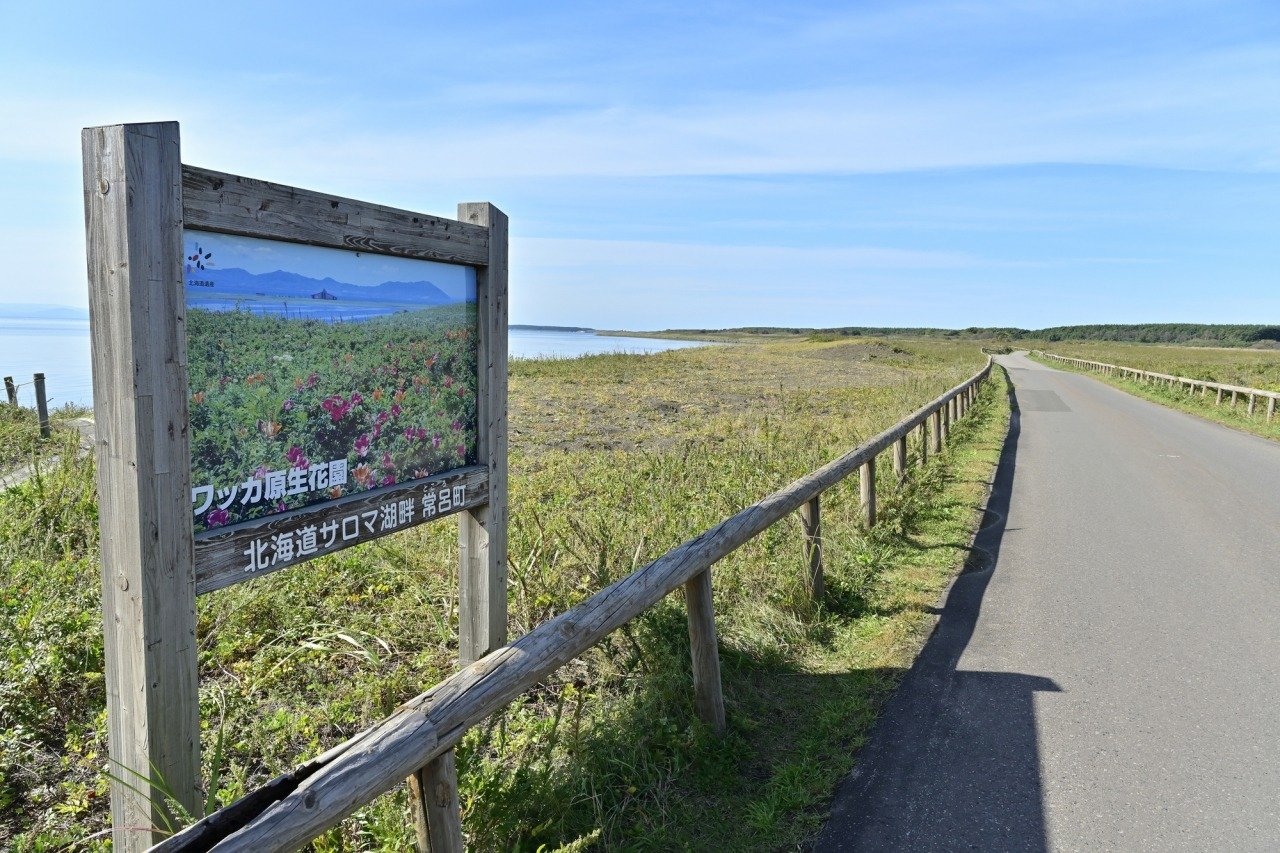 🏞️ 사로마호 왓카 자연 센터 (사로마코 왓카네이차센타) 이미지 6